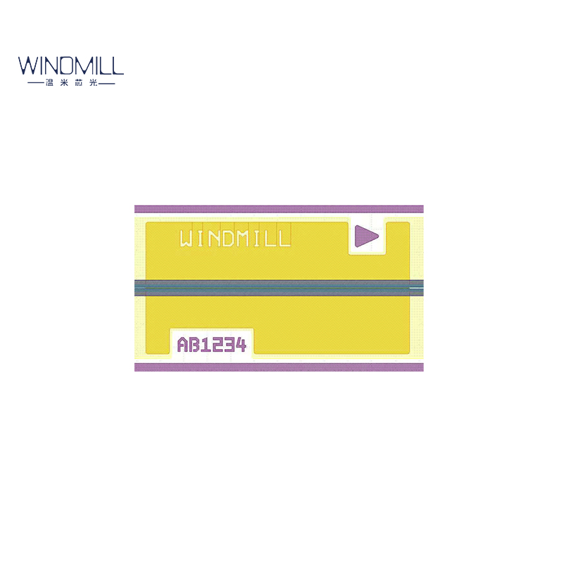 1625/1630nm高功率单模FP芯片